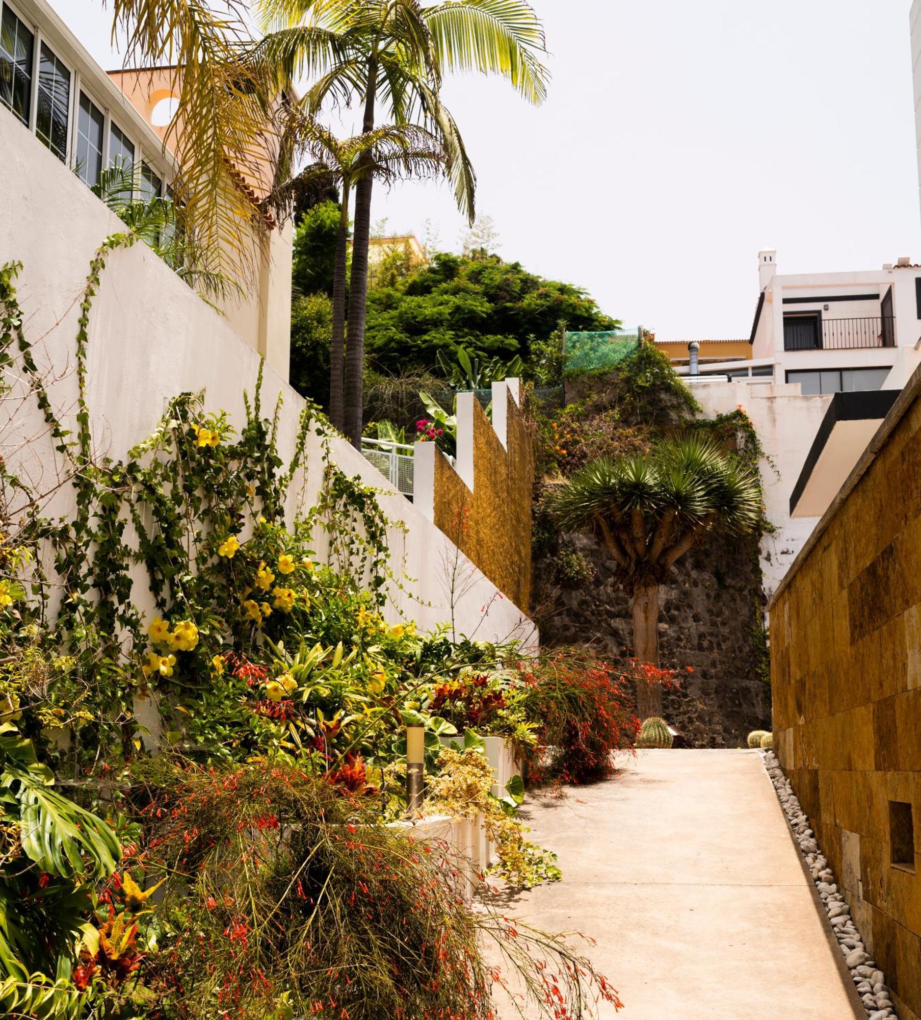 Villa Laurisilva Sauzal Bagian luar foto